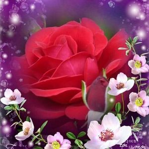 Meet your Posher, Ruth